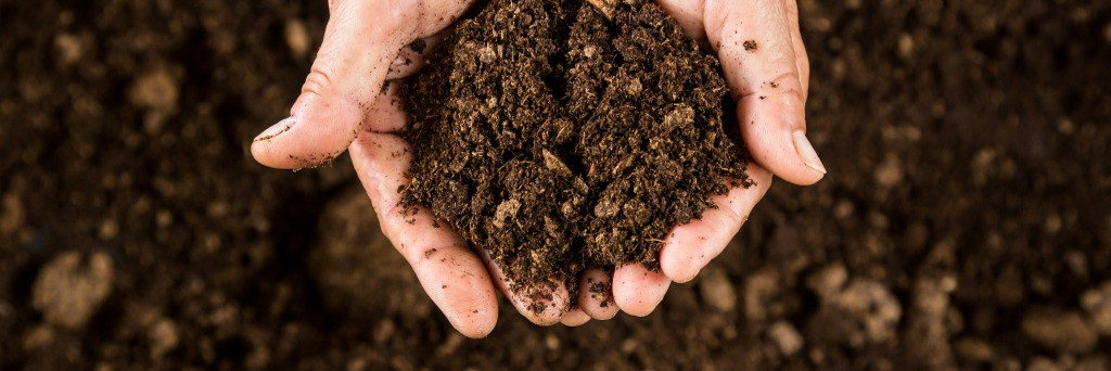 compost